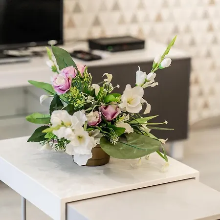 Attila Luxury Apartment Szeged