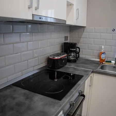 Attila Luxury Apartment *